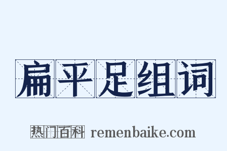 扁平足组词是什么意思的图片